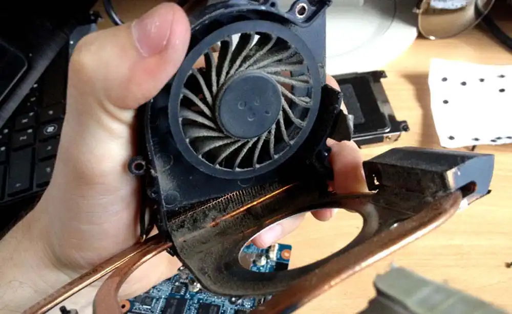 Чистка ноутбука HP от пыли в Колпино | Замена термопасты